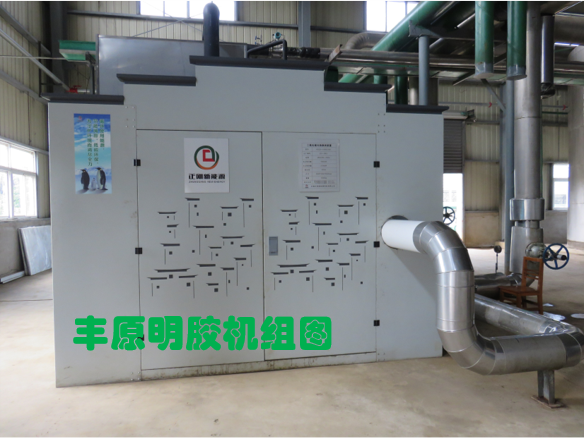 安徽丰原集团有限公司