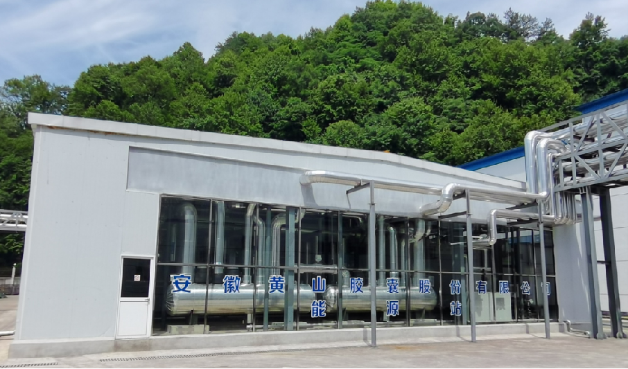 黄山胶囊洪川厂区